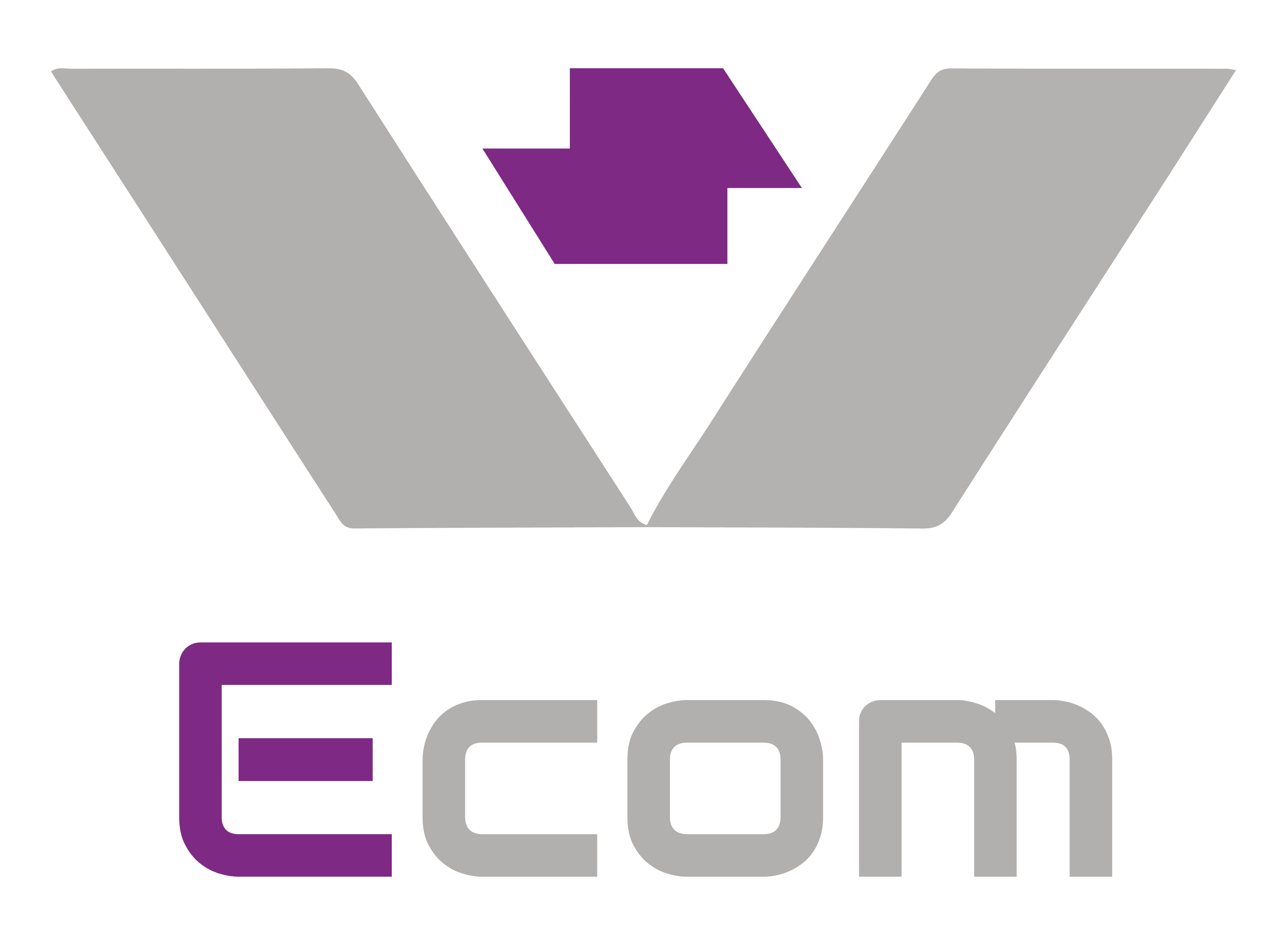 vs Ecom logo